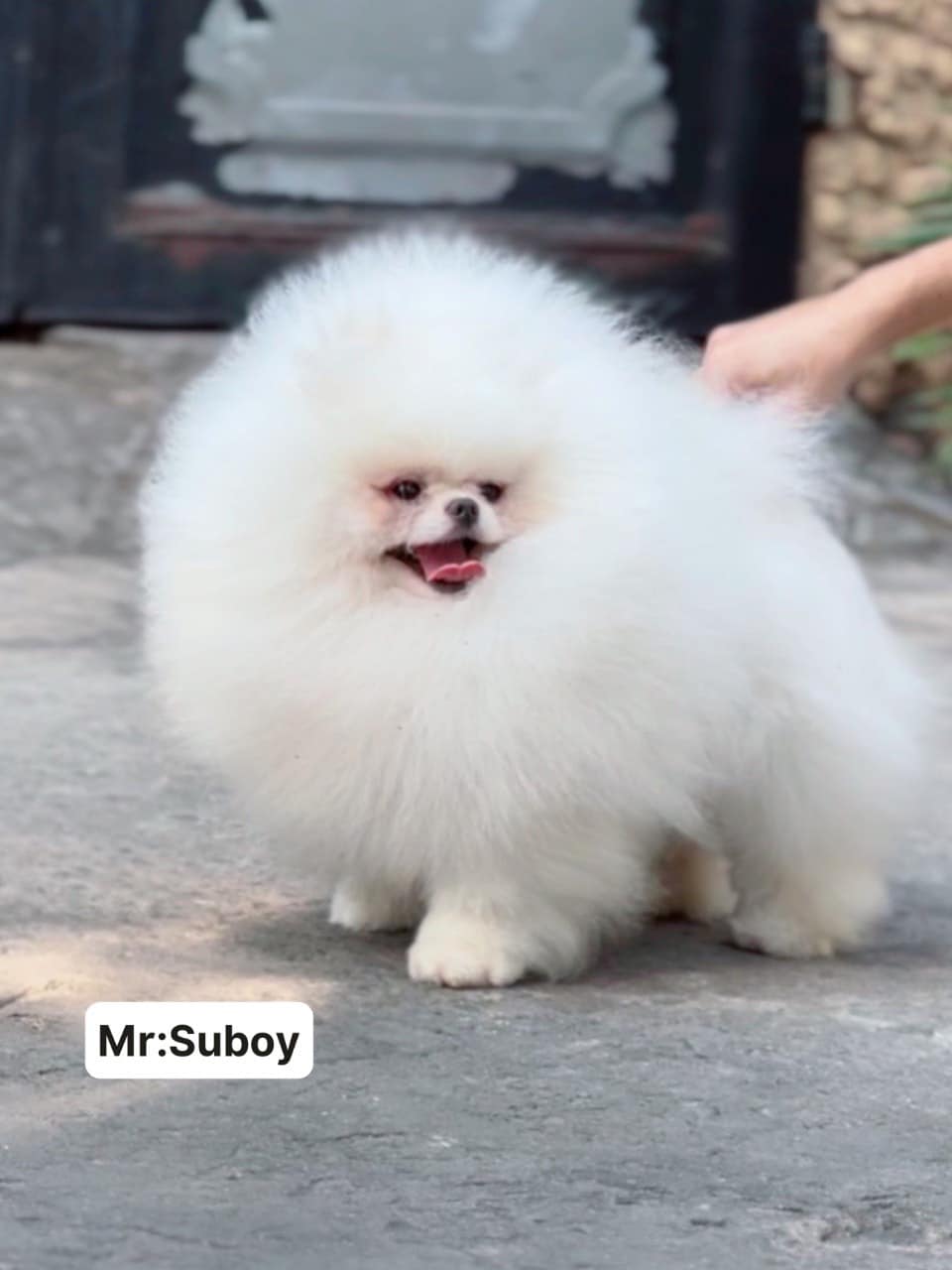 484406079_1661273421428793_2820881501750443764_n