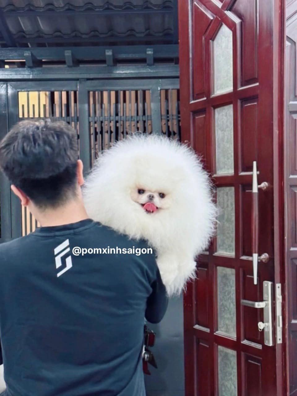 484513622_1661335348089267_4767247615692013443_n