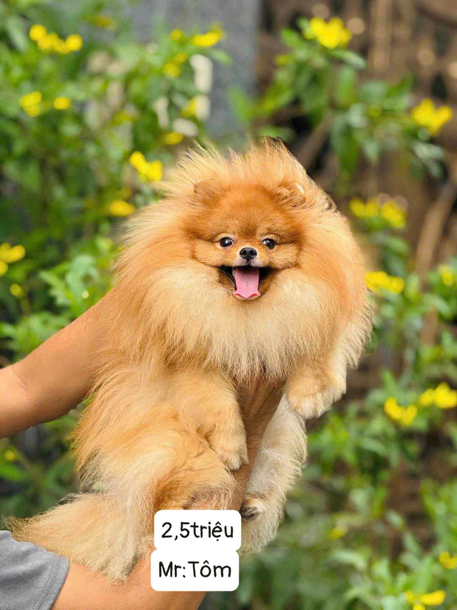 z7174547297747_fbb131b4c555014ade8ca263831fb663